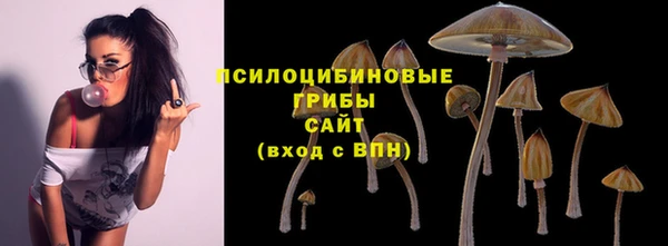 ПСИЛОЦИБИНОВЫЕ ГРИБЫ Нижневартовск
